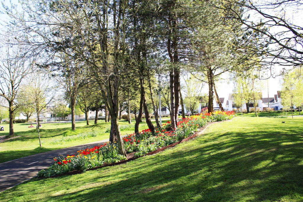 Redesigned public park in Carlow town 