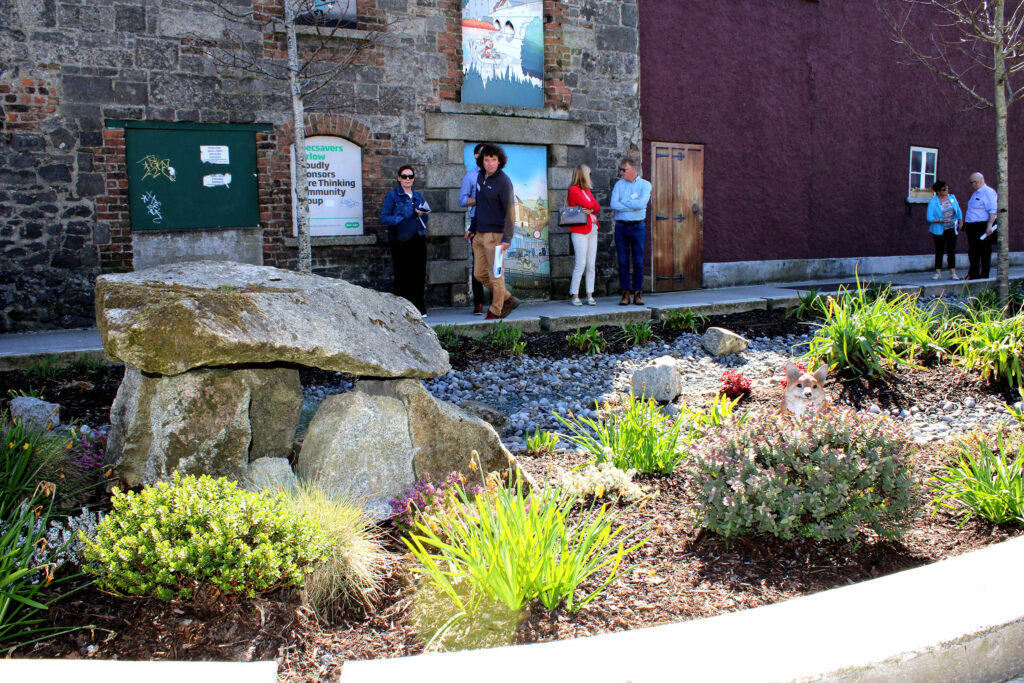 Rain Garden as a nature based solution at Shamrock Plaza in carlow town