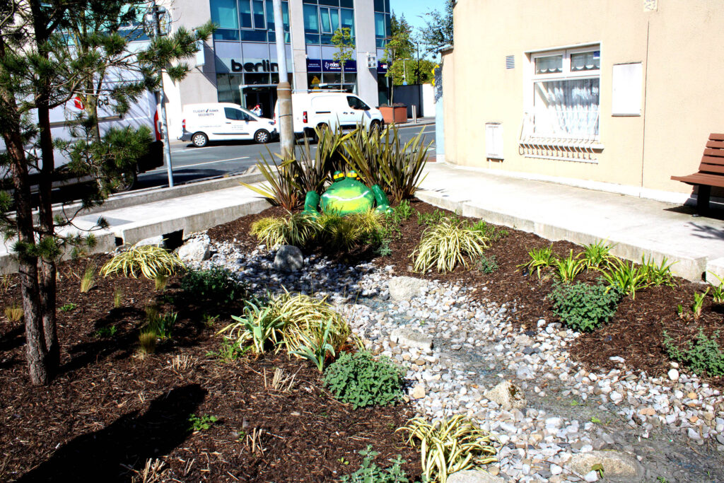 Rain Garden as a nature based solution at Shamrock Plaza in carlow town