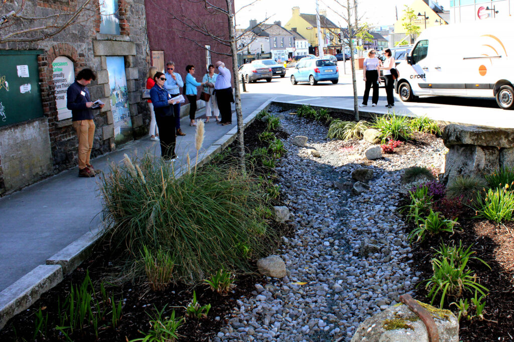 Rain Garden as a nature based solution at Shamrock Plaza in carlow town