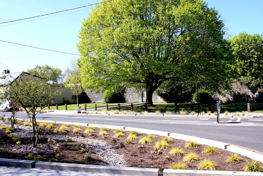 Rain Garden as a nature based solution on dublin rd carlow town