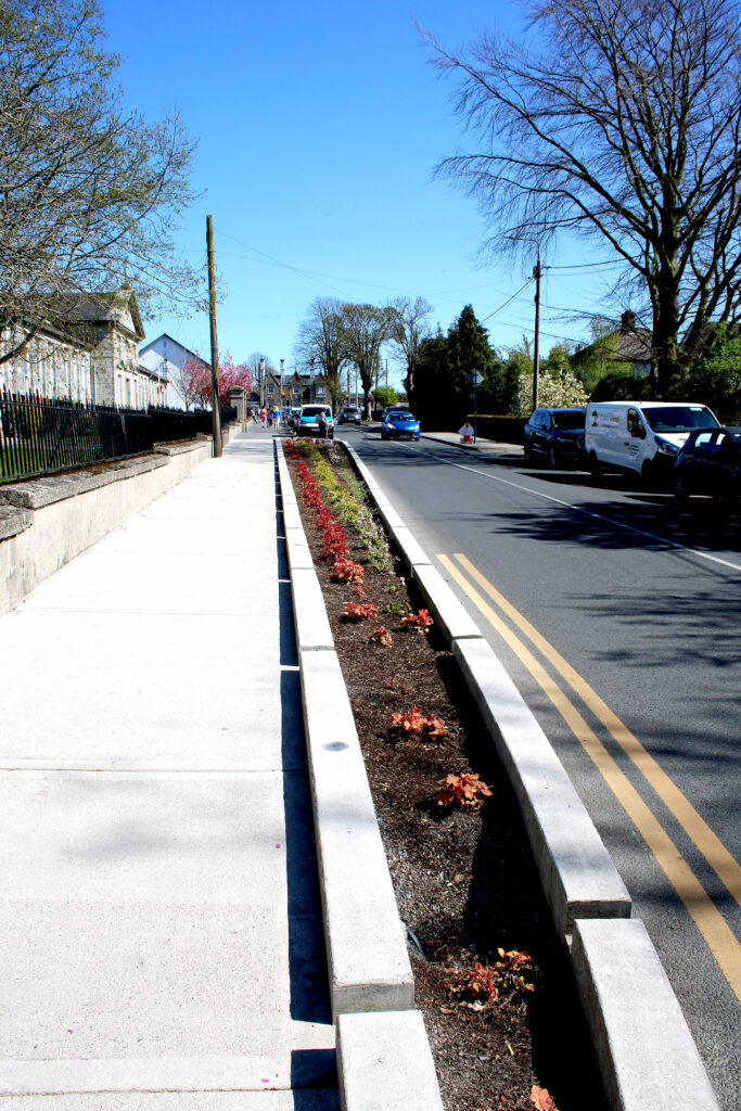 Rain Garden as a nature based solution on dublin rd carlow town